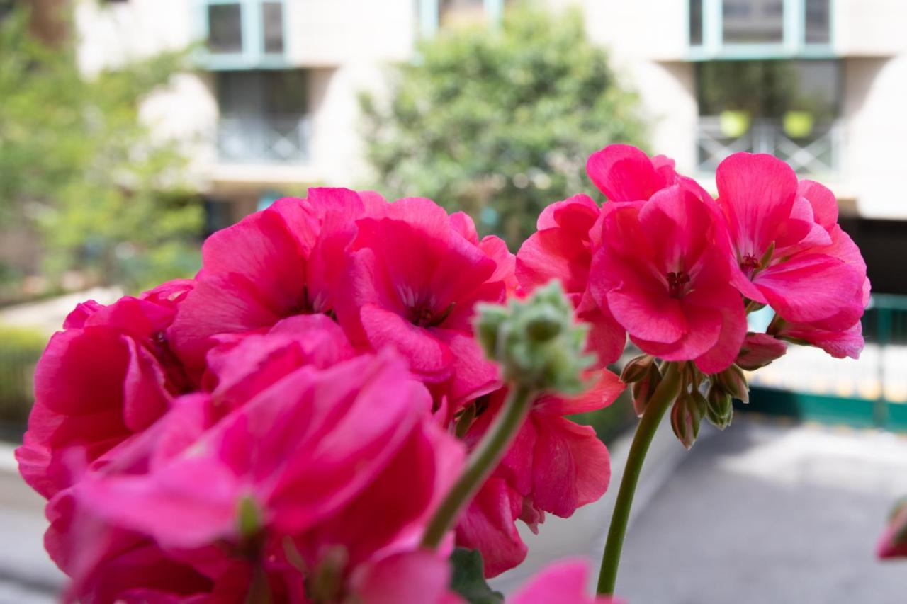 Boutique La Lavande Free Parking 10 Min Walk
